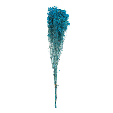 Bleu pétrole – Gypsophile Bleu Canard
