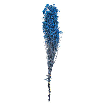 Bleu nuit – Gypsophile Bleu Nuit