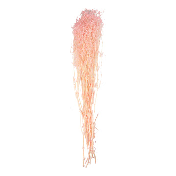 Beige rosé – Gypsophile Nude