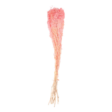 Rose clair – Gypsophile Rose Poudré