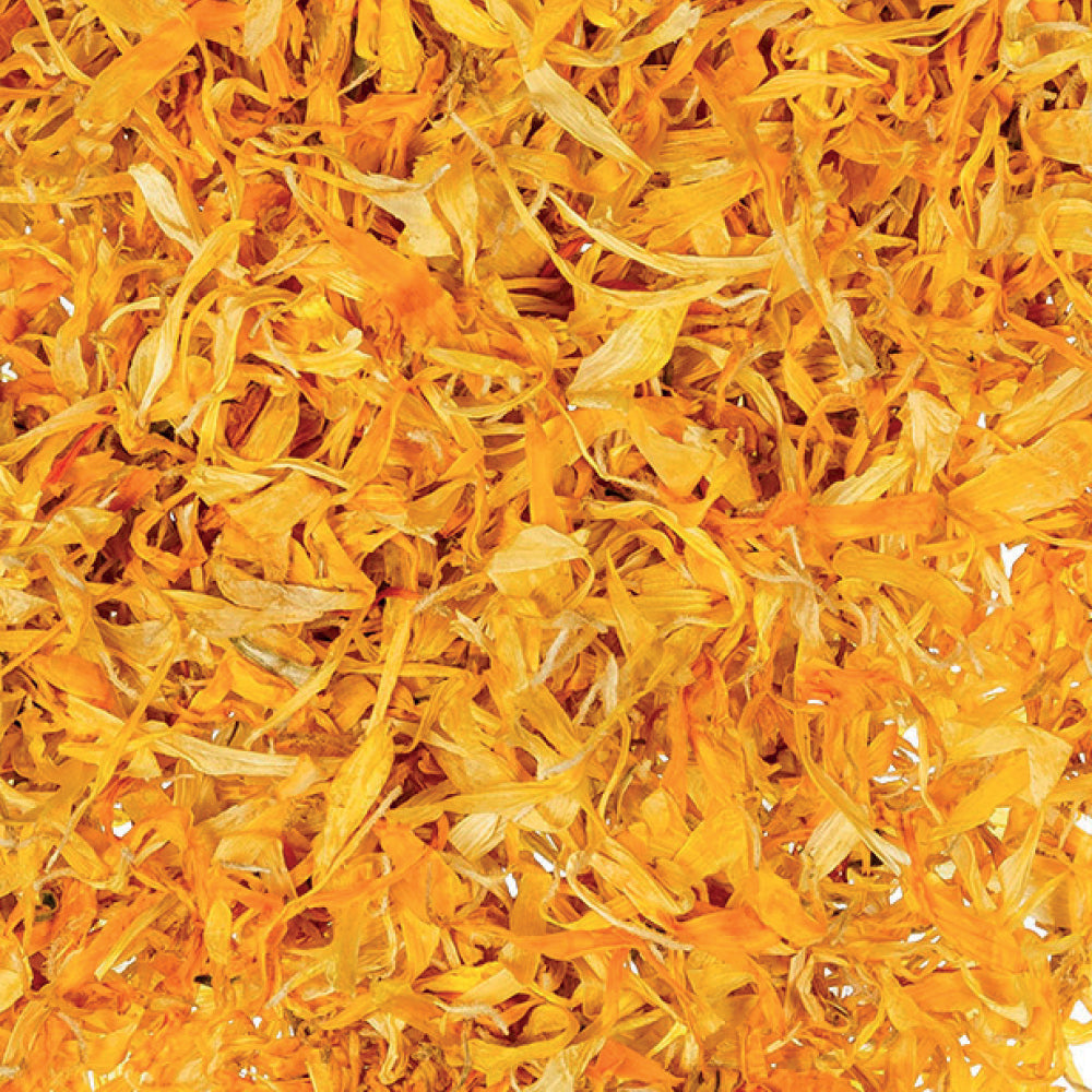 Cornflower Gold Petals