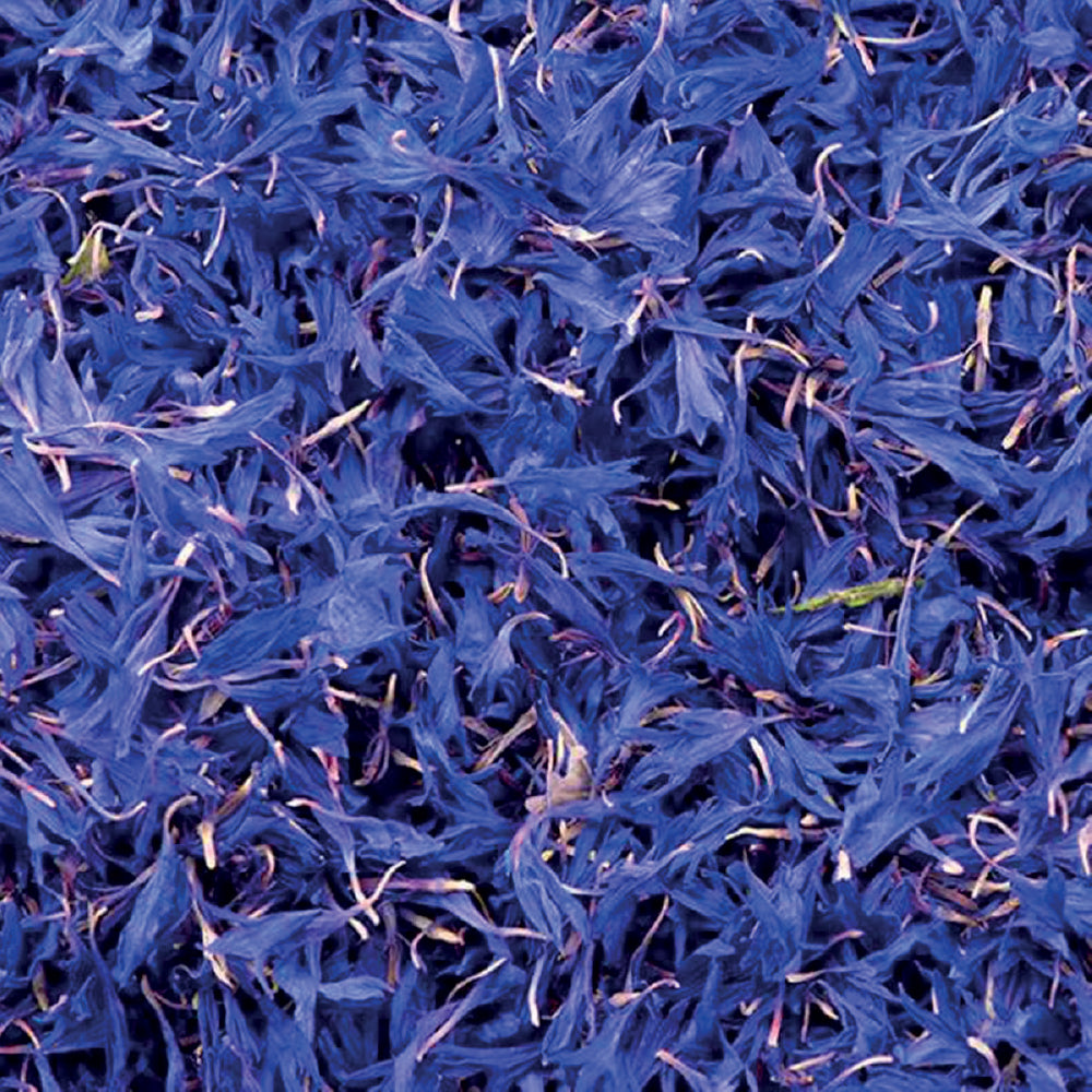 Cornflower Petals