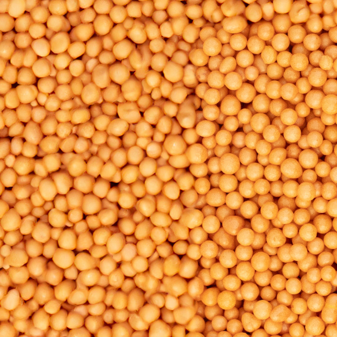 Nonpareils Doré