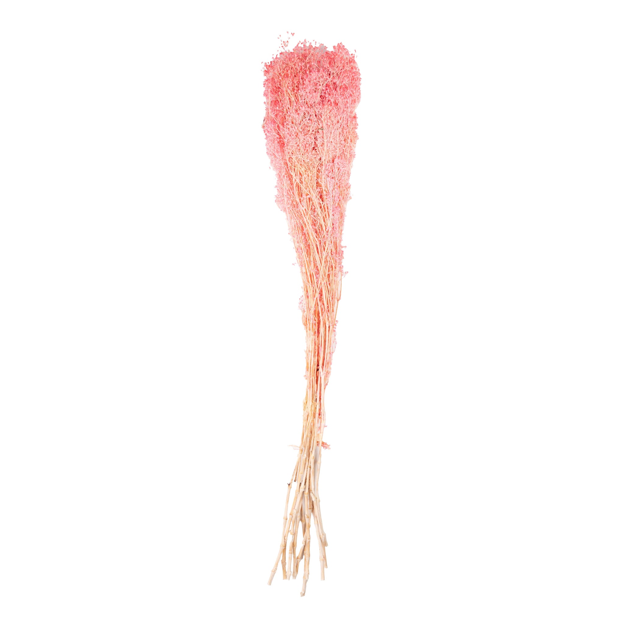 Rose clair – Gypsophile Rose Poudré