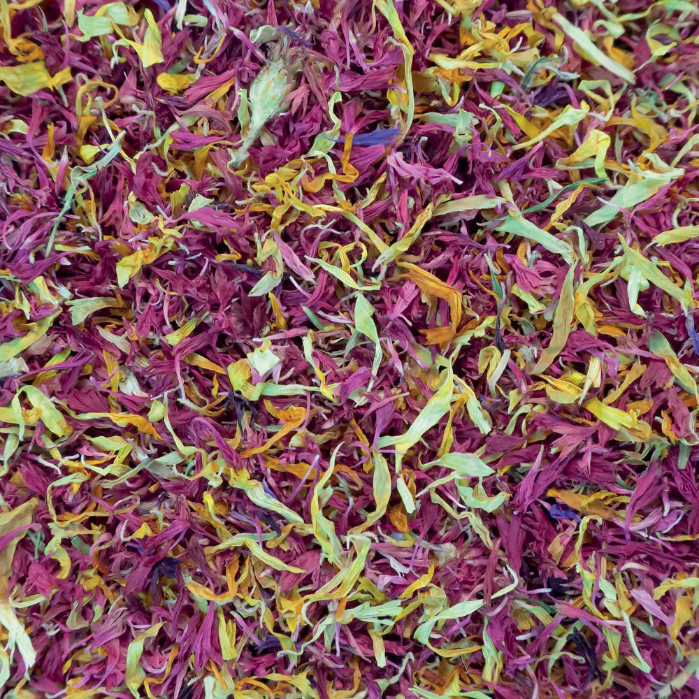 Mélange de fleurs "Nature"
