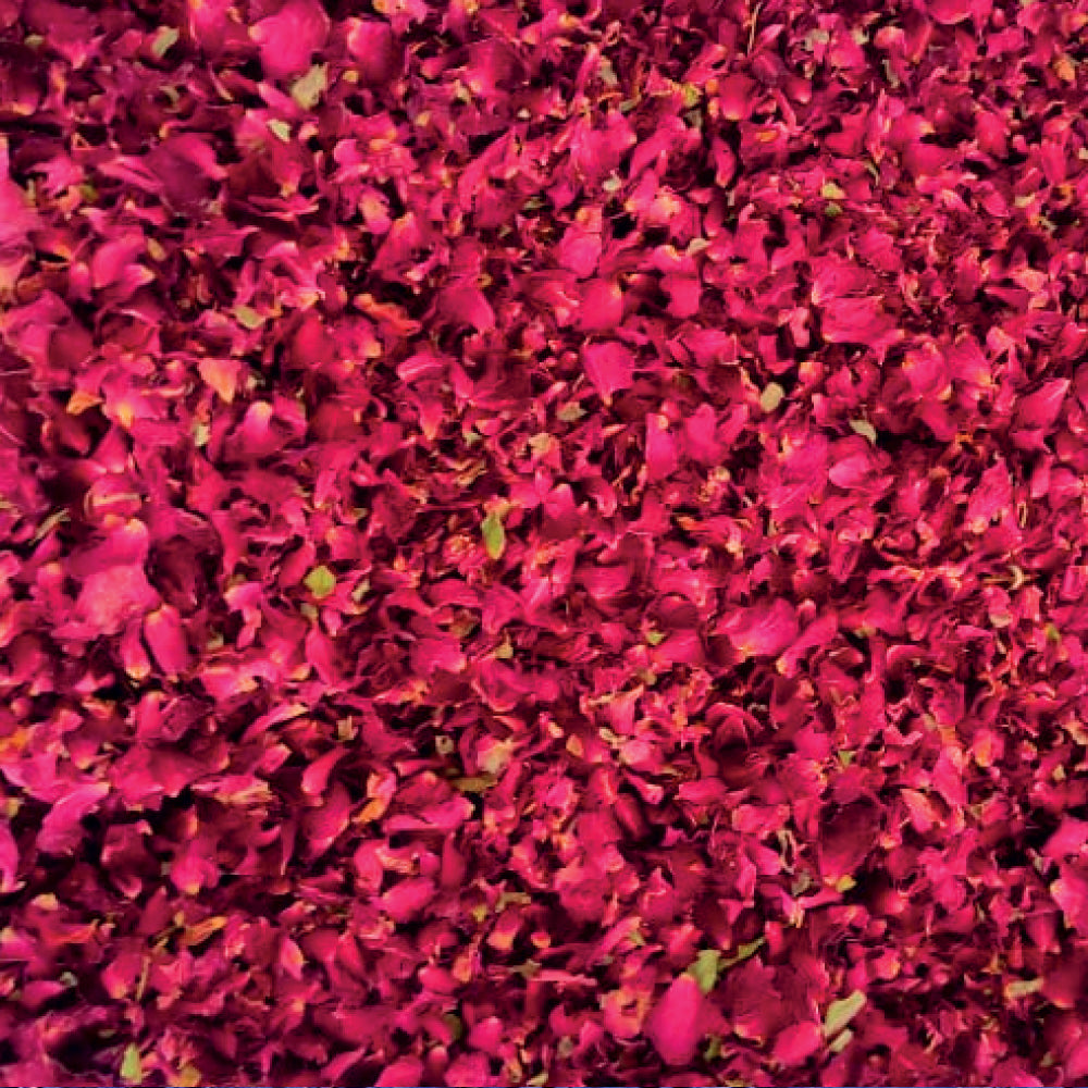 Red Rose Petals
