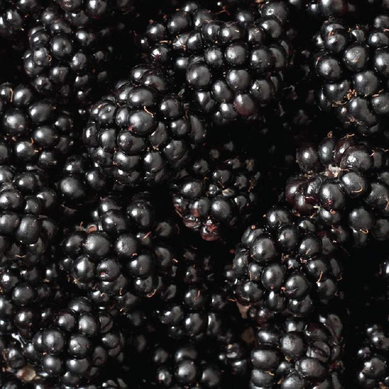 Mûre sauvage complet croustillant 100g