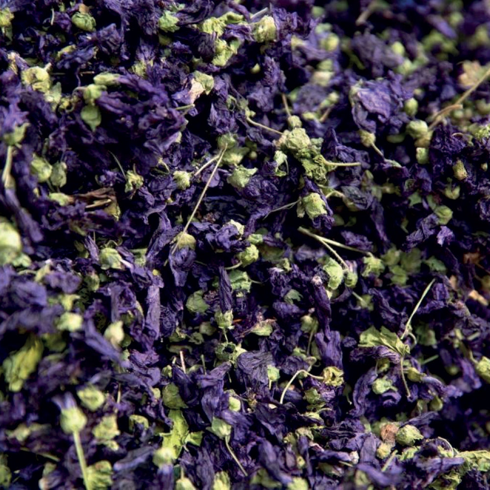 Malva Sylvesteris