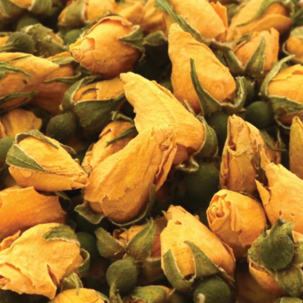 Dried Yellow Rose Buds